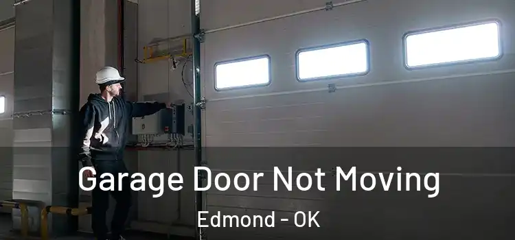  Garage Door Not Moving Edmond - OK