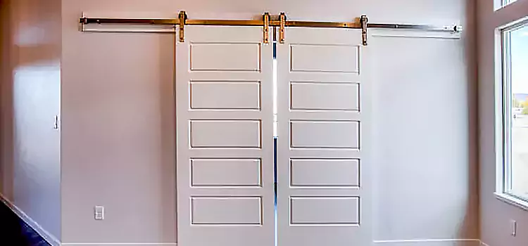 Glass Barn Door with Installation Hardware Kit Edmond