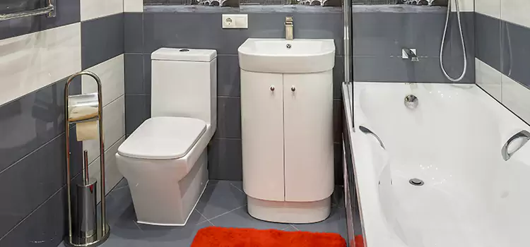 Hansgrohe Shaving Mirror Edmond
